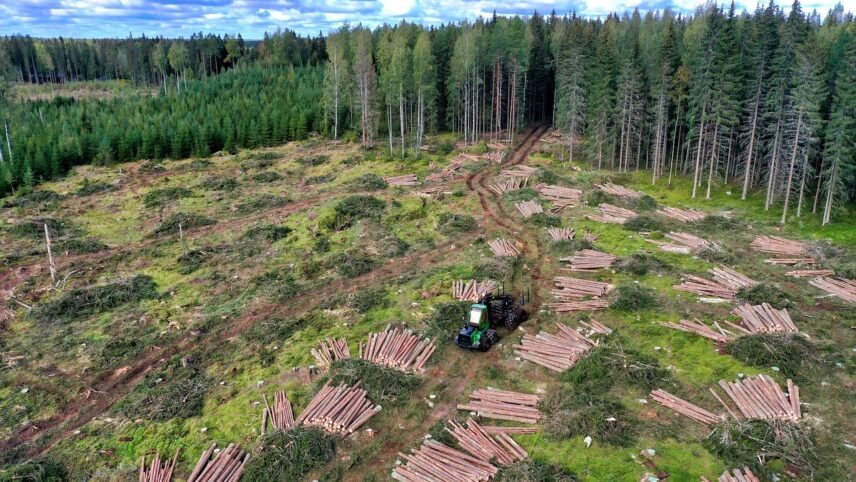 Euroopas lubatakse peatselt müüa ainult sellist kaupa, mille tootmiseks pole maad metsast tühjaks raiutud thumbnail