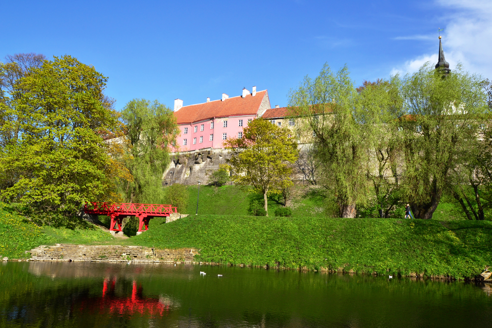Tallinn taastab osalise niitmise umbrohuga võitlemiseks thumbnail