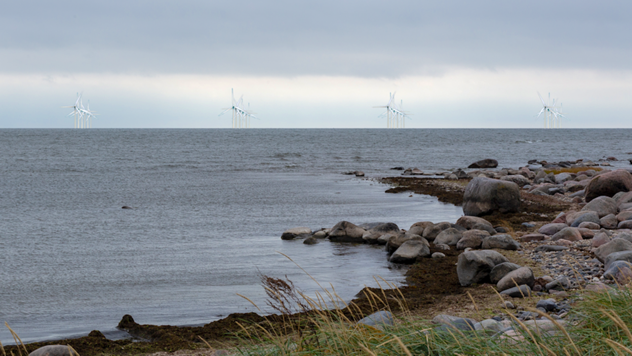 Uuring: enamik Eesti elanikest toetab tuuleparkide rajamist thumbnail