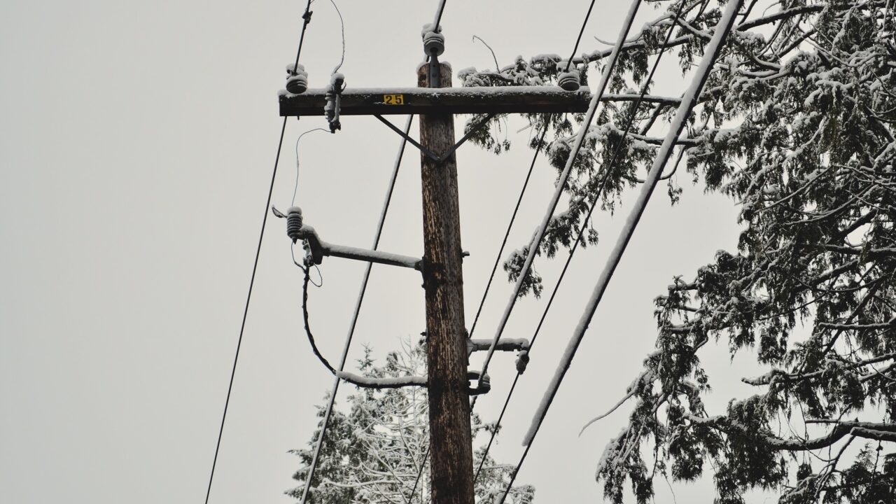 Puud vajuvad raske lume all liinidele, ligi 10 000 klienti on elektrita thumbnail