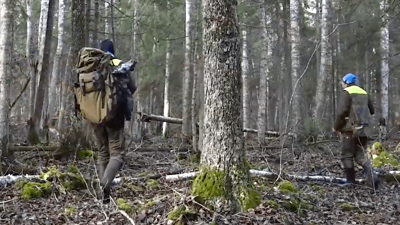 Video: Miks hinnatakse Eesti metsa juurdekasvu ja seisundit avalikkusele salastatud proovitükkidel? thumbnail